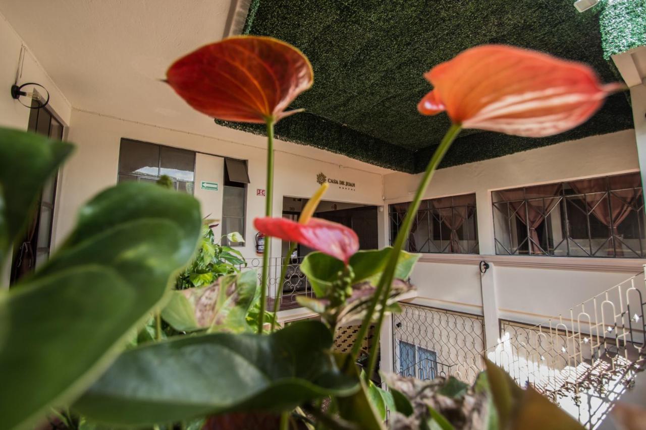 Casa De Juan Hostal Xalapa Zewnętrze zdjęcie